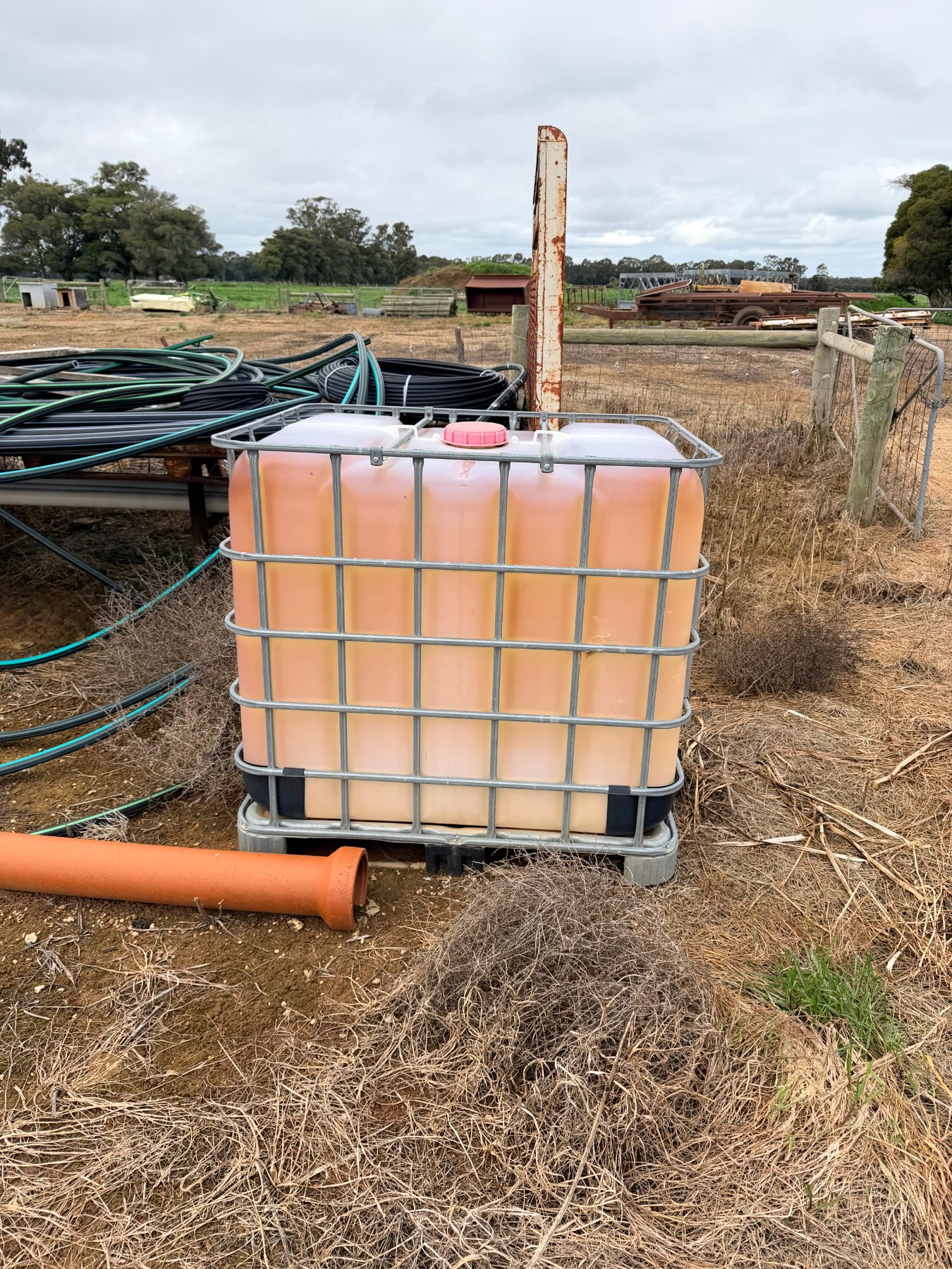 (13083) 1000L IBC