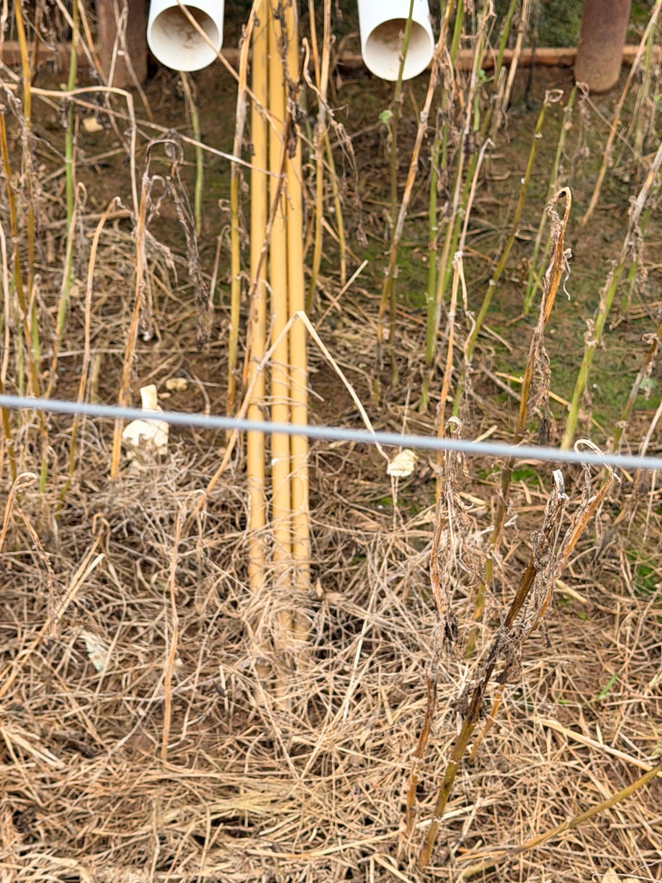 (13091) Assorted lengths of PVC pipe & plastic hot water pipe - photo 4