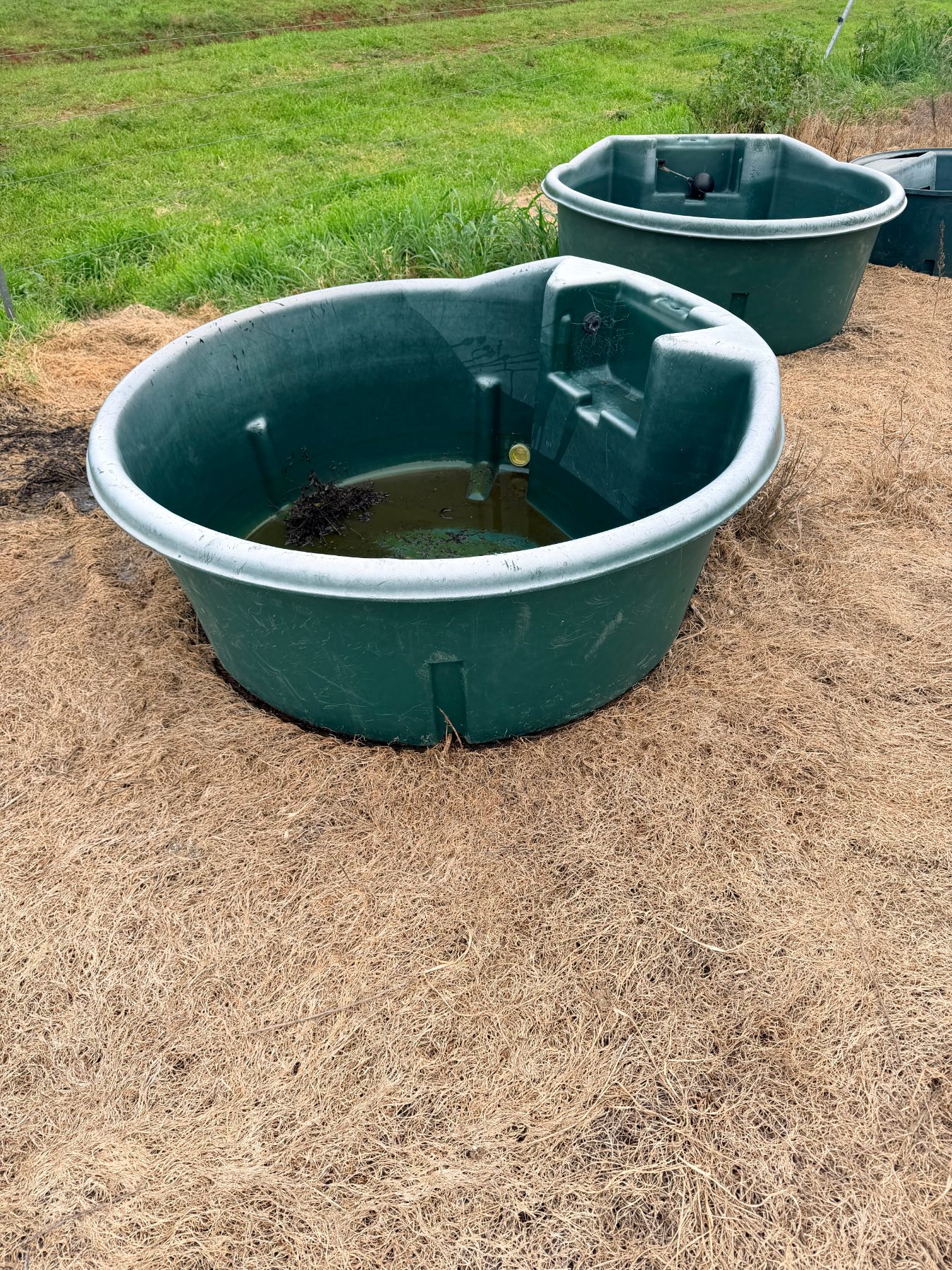 (13072) 600L Polymaster water trough