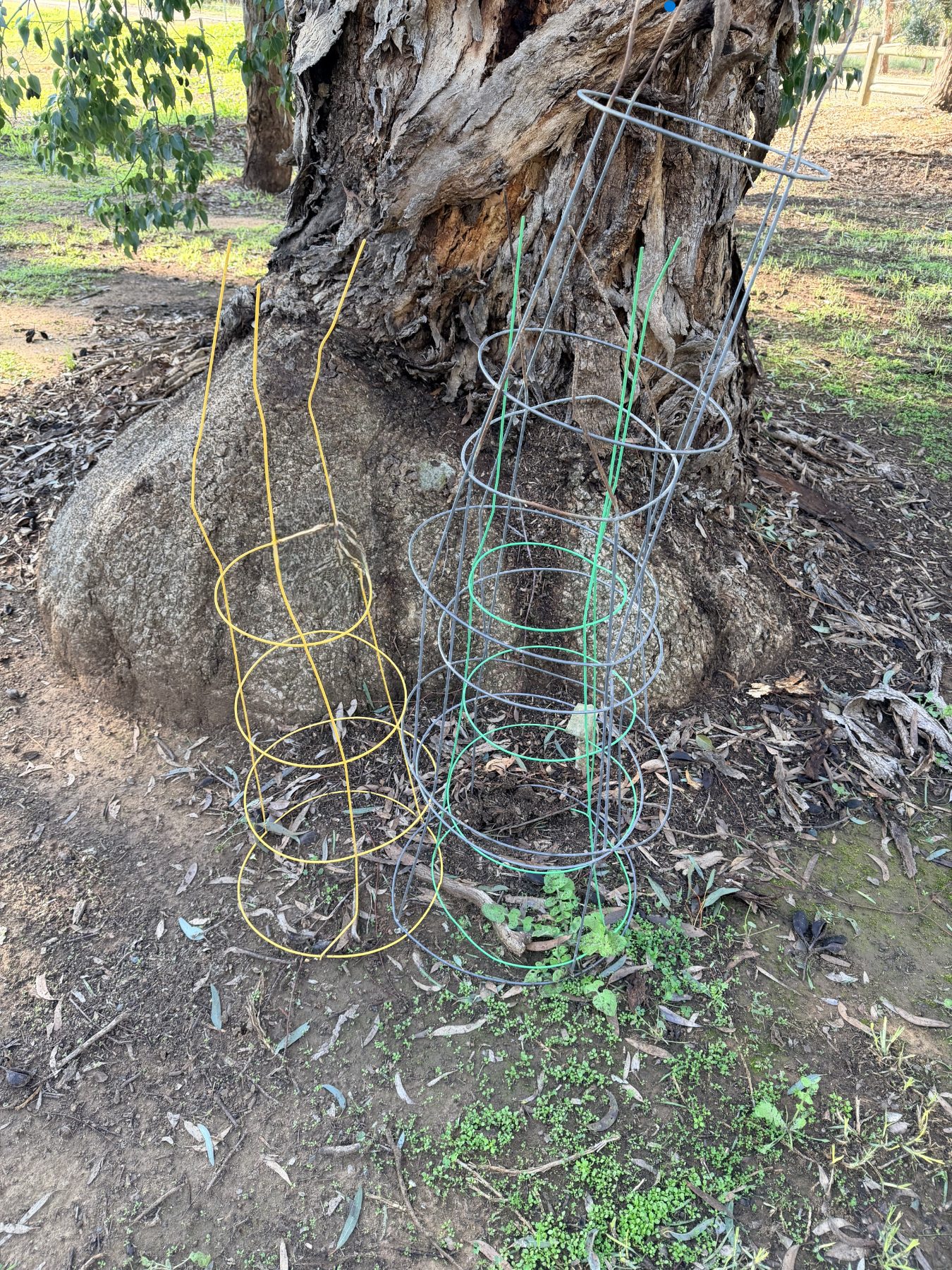 (12952) 3 various large sized tree guards
