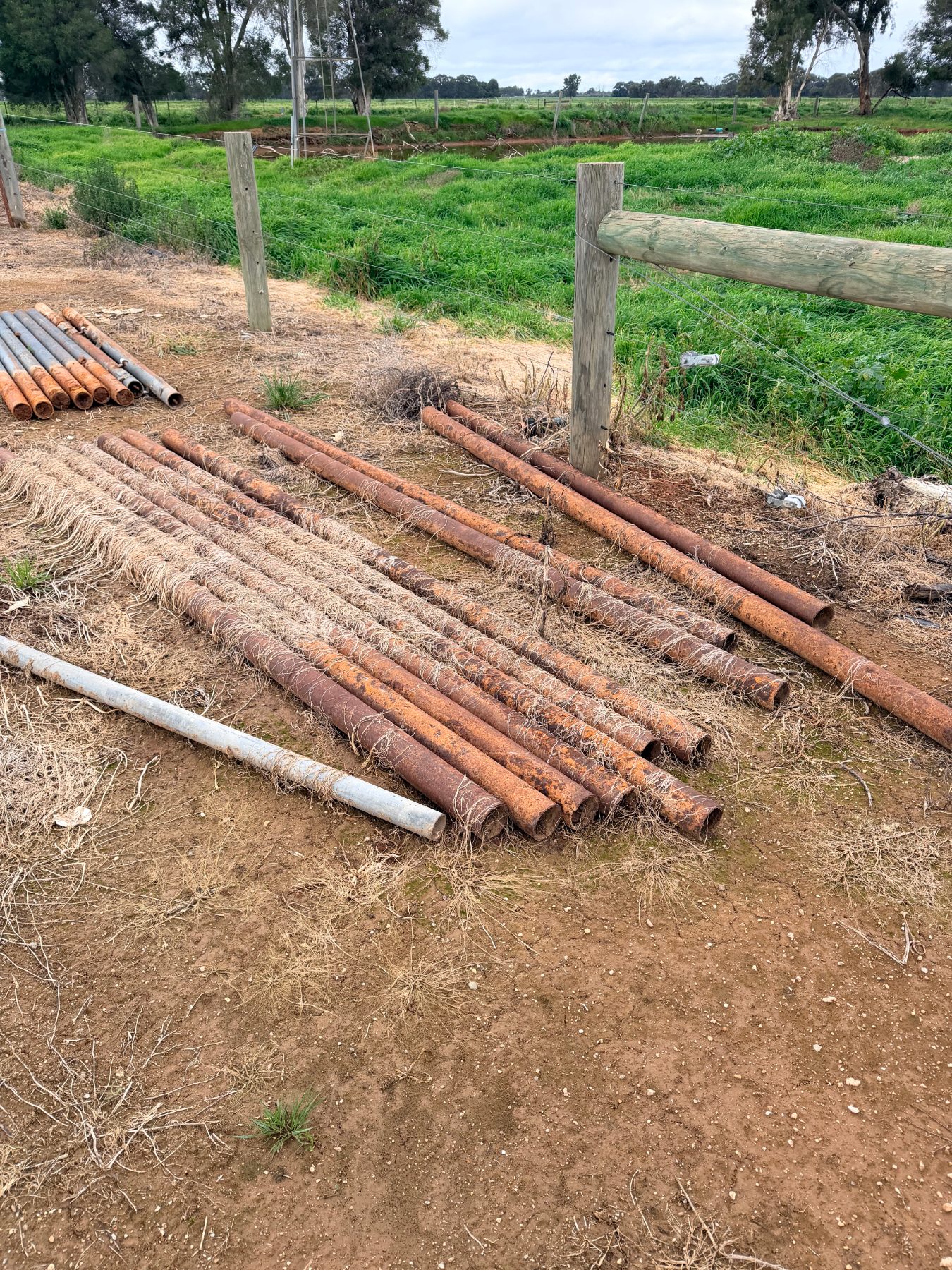 (13106) 11 of 3m x 90mm gal steel posts