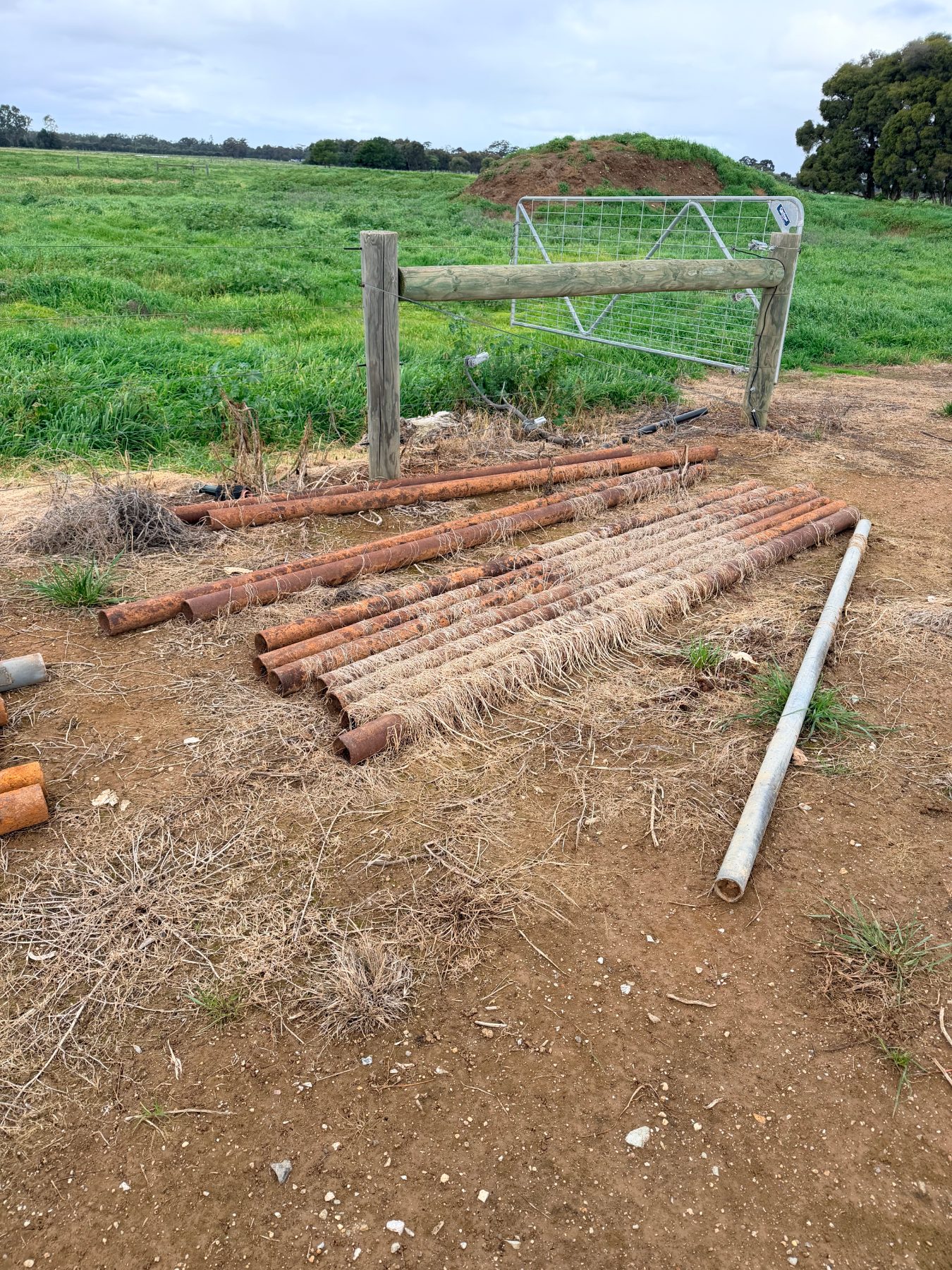 (13106) 11 of 3m x 90mm gal steel posts - photo 2