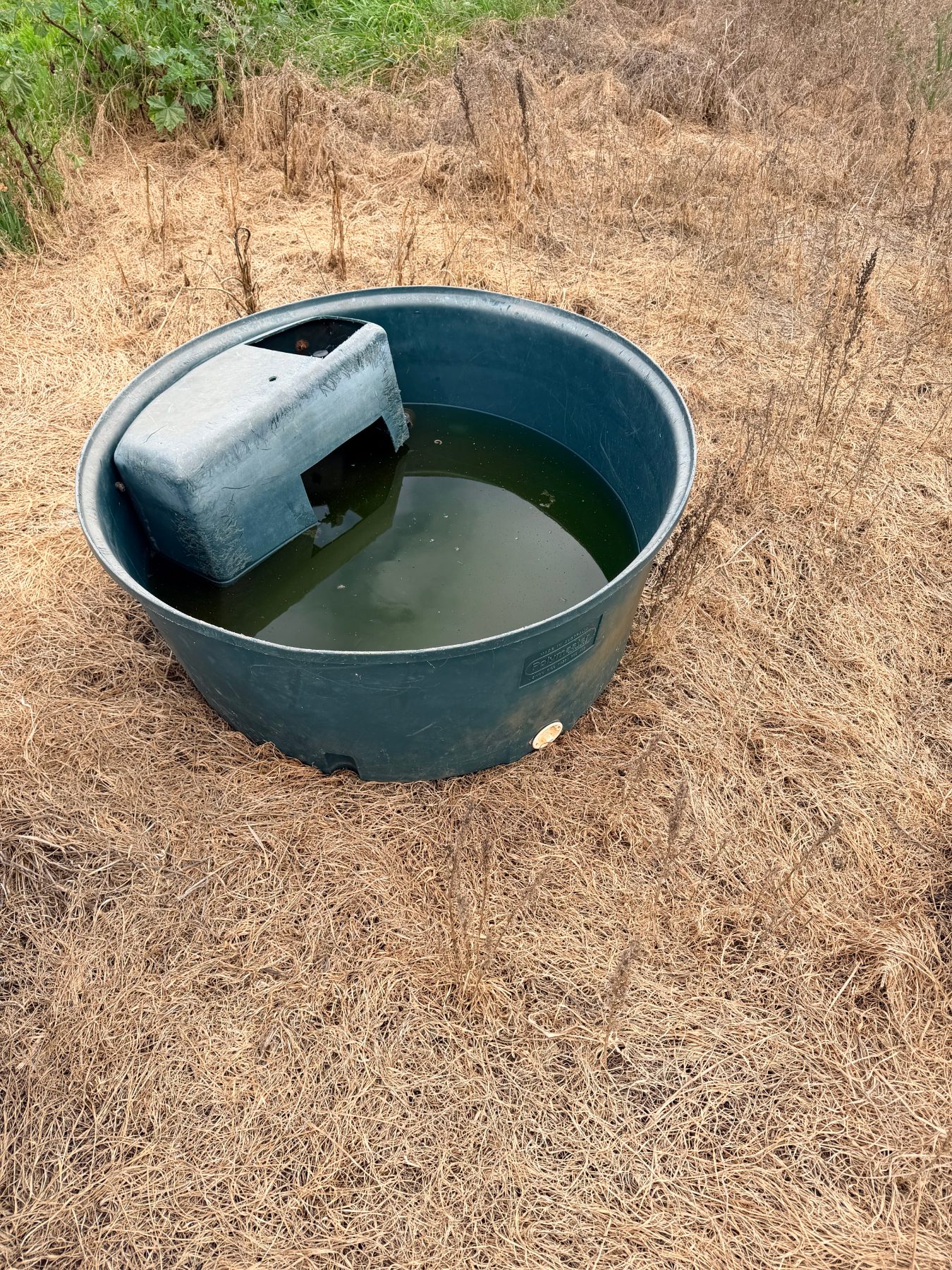 (13074) Polymaster water trough