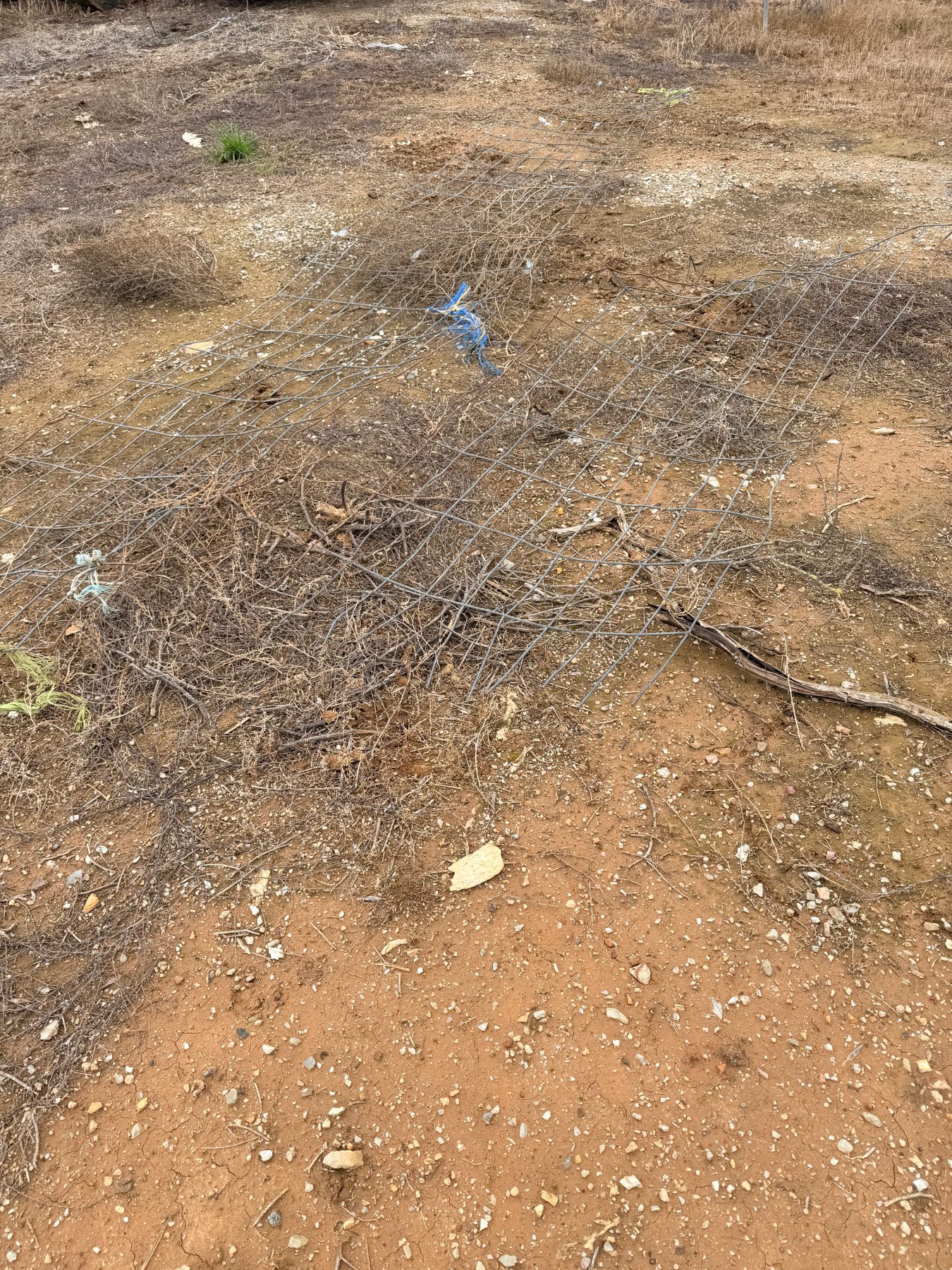 (13088) 2  of lengths of scrap gate mesh - photo 2