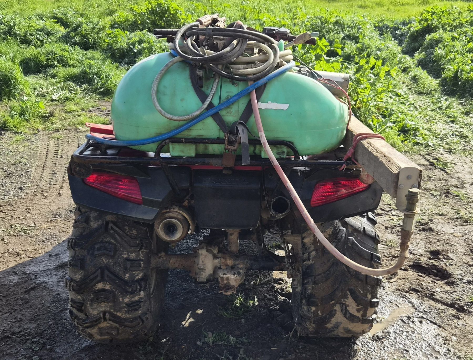 (13033) Honda TRX-350 2WD Quad Bike - photo 7
