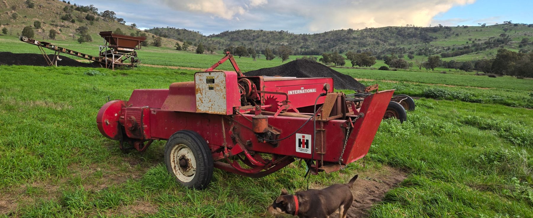 (12959) International 440T Small Square Baler