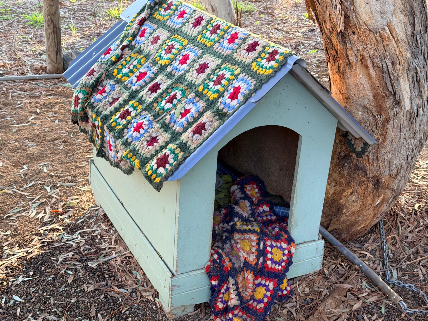 (12938) Medium sized dog kennel
