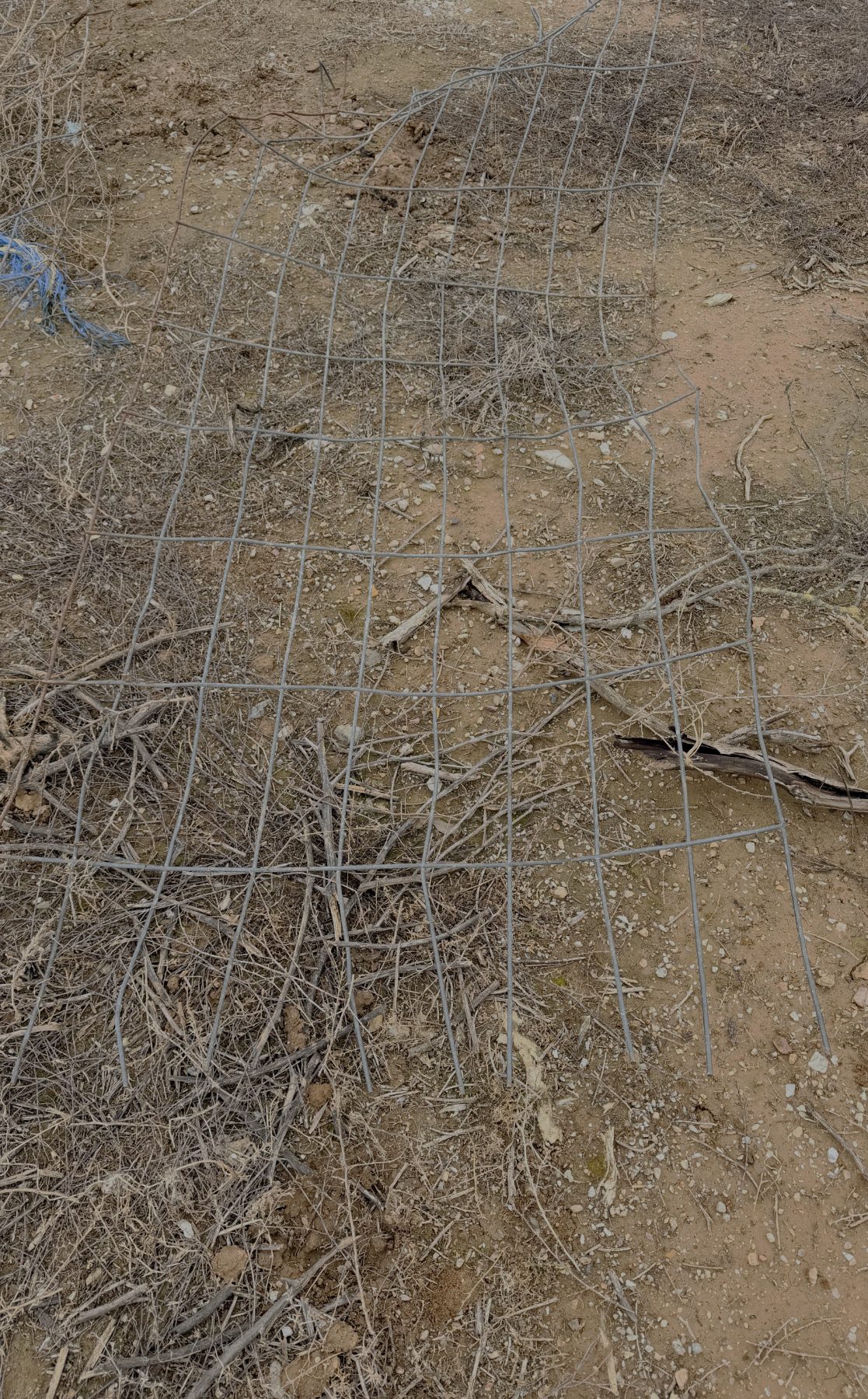 (13088) 2  of lengths of scrap gate mesh