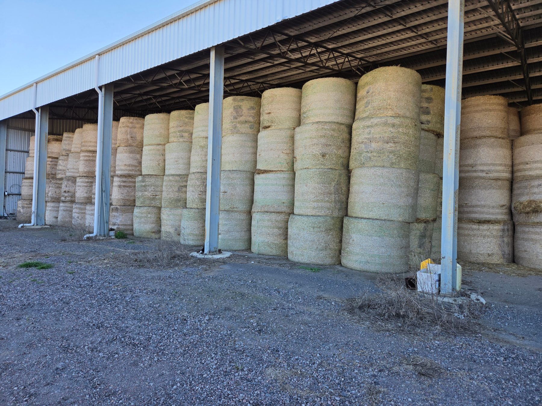 (13222) 5x4 Rolls of Quality Wheaten Hay