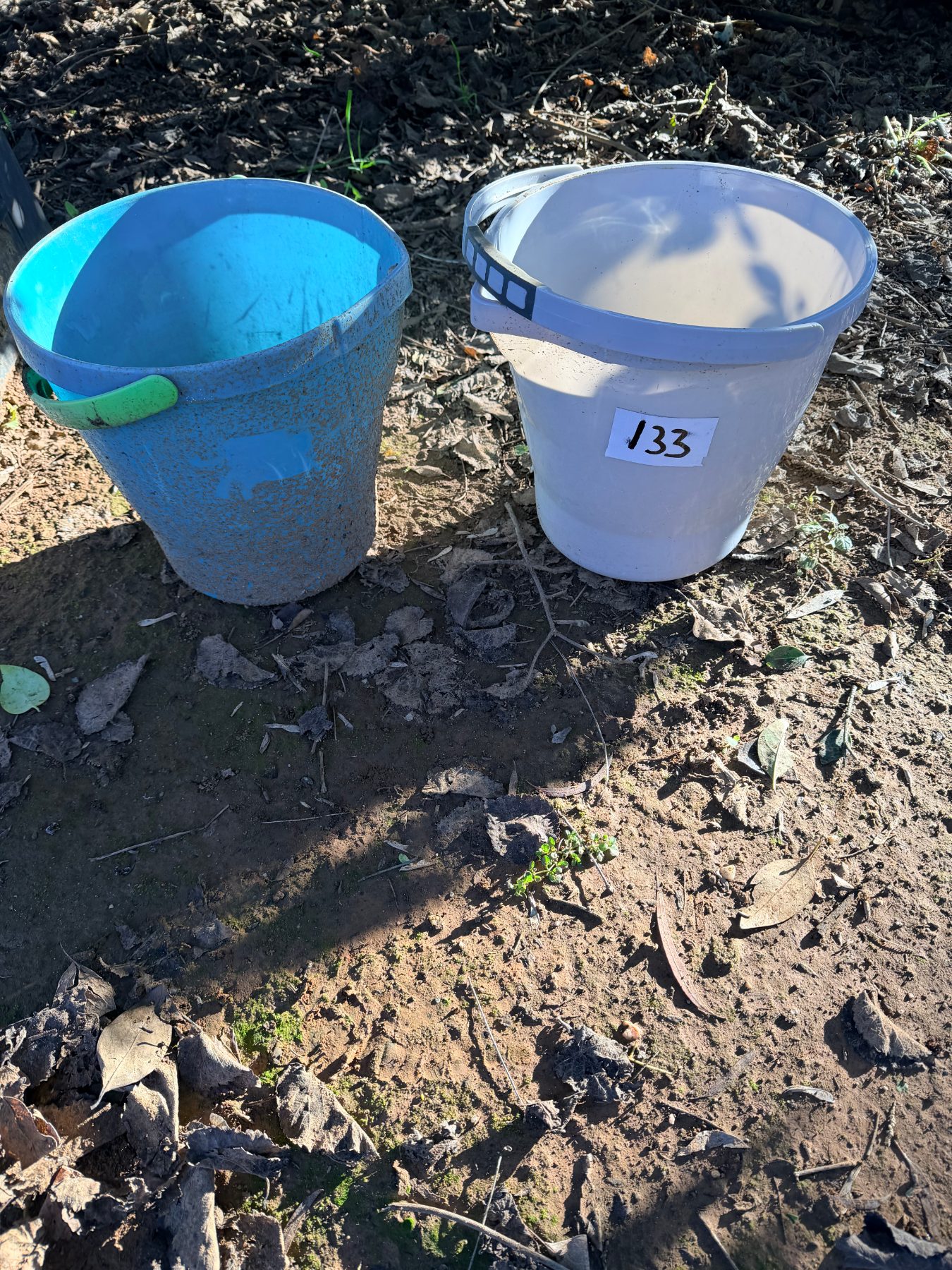 (12951) 2 x 10L buckets