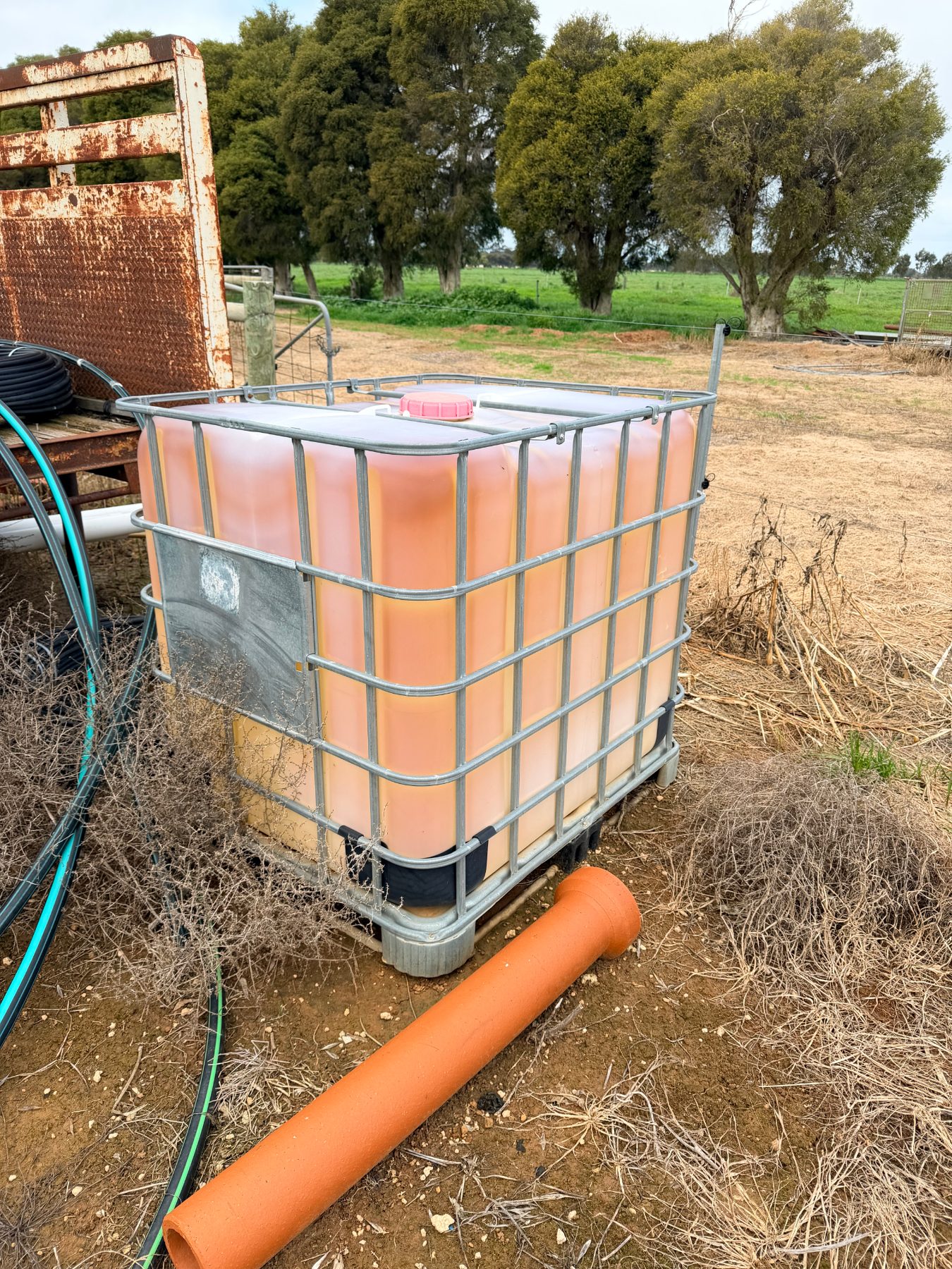 (13083) 1000L IBC - photo 2